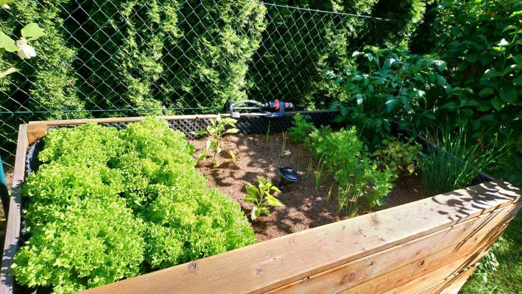 Michaela’s Hochbeet