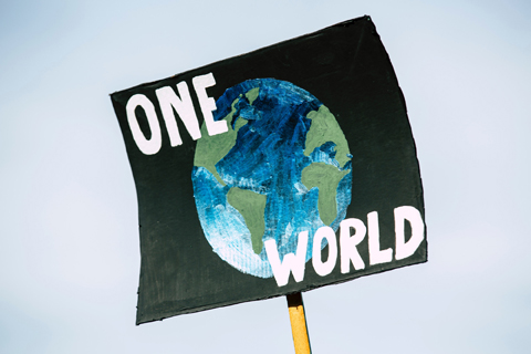 Der Klimawandel wird zu einem immer drängenderen globalen Problem und ein rasches Handeln ist unabdingbar.